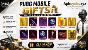 PUBG Mobile Items Purchase Guide with Credit Card